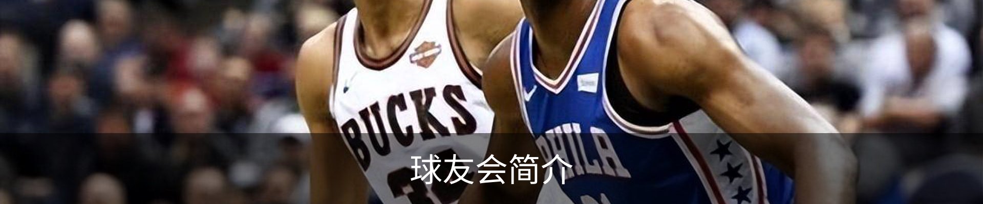 球友会简介